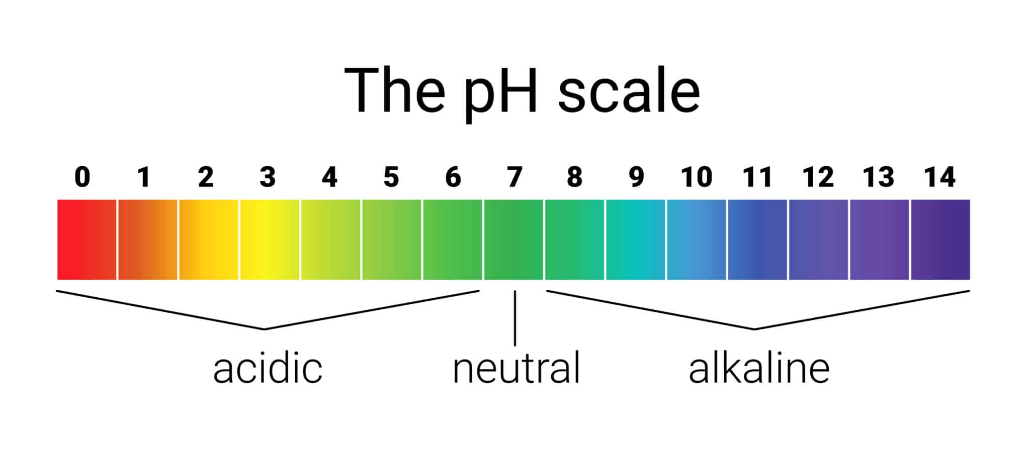 pH of Apple Cider Vinegar: Acidic or Alkaline? - Honest Vitamin Guy